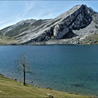 Foto de Covadonga