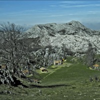 Foto de Covadonga