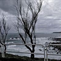 Foto de Luarca