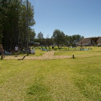 Foto de Salto