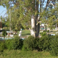 Foto de Salto