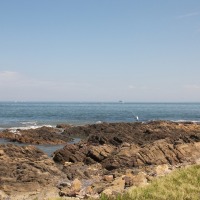 Foto de Punta del Este