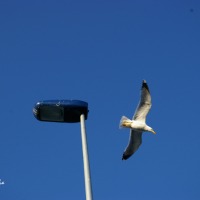 Foto de Ceuta