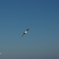 Foto de Ceuta