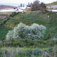 Foto de Ceuta