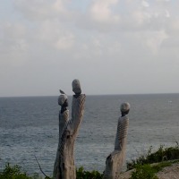 Foto de Nassau