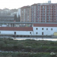 Foto de Corroios