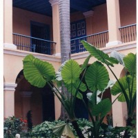 Foto de La Habana