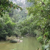 Foto de Rio Claro (Antioquia)