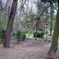 Foto de Oviedo