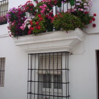 Foto de Vejer de la Frontera