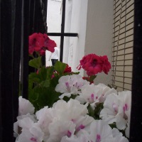 Foto de Vejer de la Frontera
