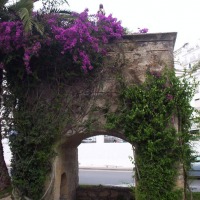 Foto de Vejer de la Frontera
