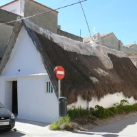 Foto de El Palmar