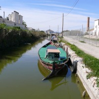 Foto de El Palmar