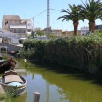 Foto de El Palmar