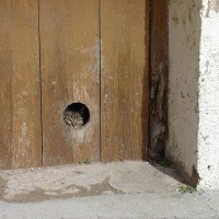 Foto de El Tormo