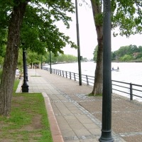 Foto de Delta del Tigre (Buenos Aires)