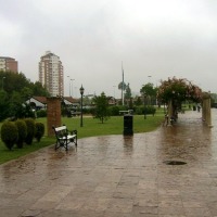 Foto de Delta del Tigre (Buenos Aires)