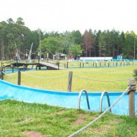 Foto de Salto