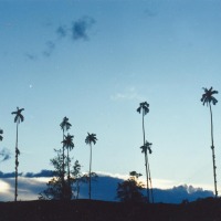 Foto de Quindio