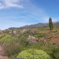 Foto de Vilaflor