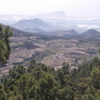 Foto de Vilaflor