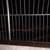 Foto de Vienna