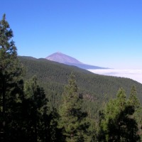 Foto de La Orotava