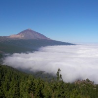 Foto de La Orotava
