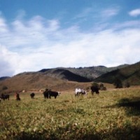 Foto de Amalfi (Antioquia)