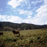 Foto de Amalfi (Antioquia)