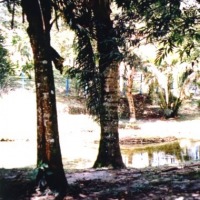 Foto de Amalfi (Antioquia)