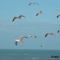 Foto de San Fernando