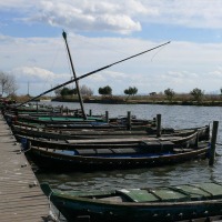 Foto de Catarroja