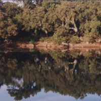 Foto de El Bosque
