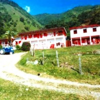 Foto de Angelópolis (Antioquia)