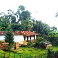 Foto de Angelópolis (Antioquia)