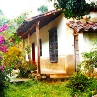 Foto de Angelópolis (Antioquia)