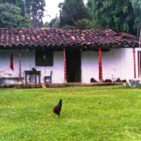 Foto de Angelópolis (Antioquia)