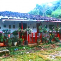 Foto de Angelópolis (Antioquia)