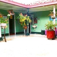 Foto de Angelópolis (Antioquia)