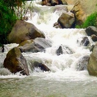 Foto de Angelópolis (Antioquia)