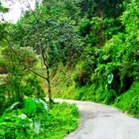 Foto de Angelópolis (Antioquia)