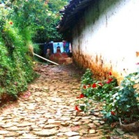 Foto de Angelópolis (Antioquia)