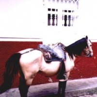 Foto de Angostura (Antioquia)