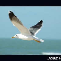 Foto de San Fernando