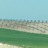 Foto de Jerez de la Frontera