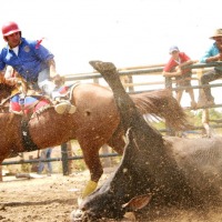 Foto de Orocue Casanare