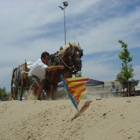 Foto de Massanassa